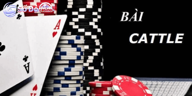 Cách chơi bài catte Mục tiêu của trò chơi là gì?