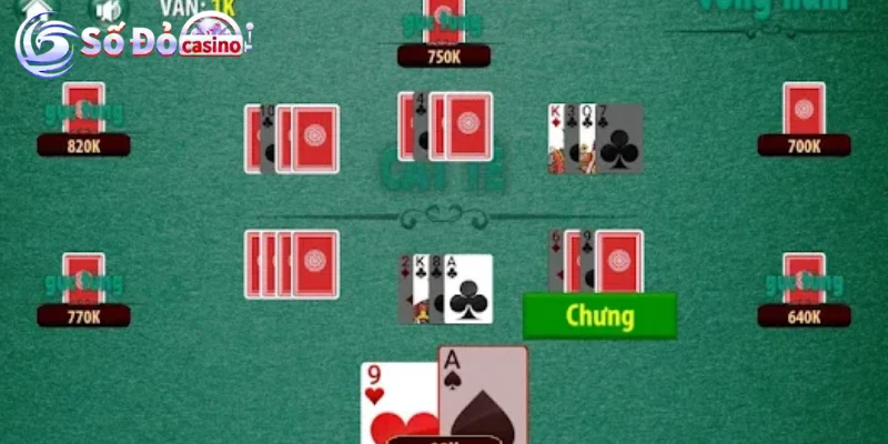 Cách chơi bài catte Tiến hành ván bài catte – Các bước chơi cơ bản