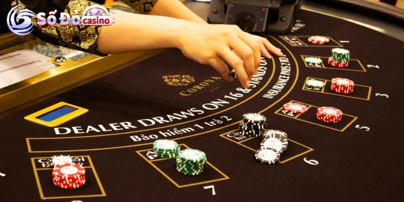 Các mẹo nhỏ trong cách chơi bài xì dách hiệu quả hơn