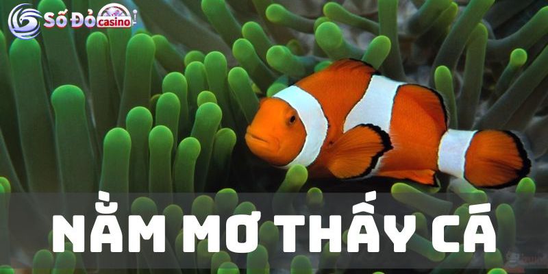 Giải mã giấc mơ thấy cá trong cuộc sống