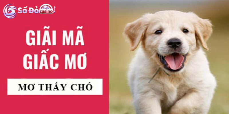 Giải mã chi tiết nằm mơ thấy chó đánh số may