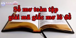 Sổ mơ lô de miền Bắc