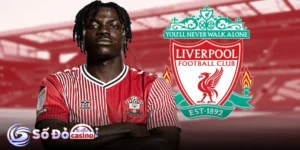 soi kèo Liverpool