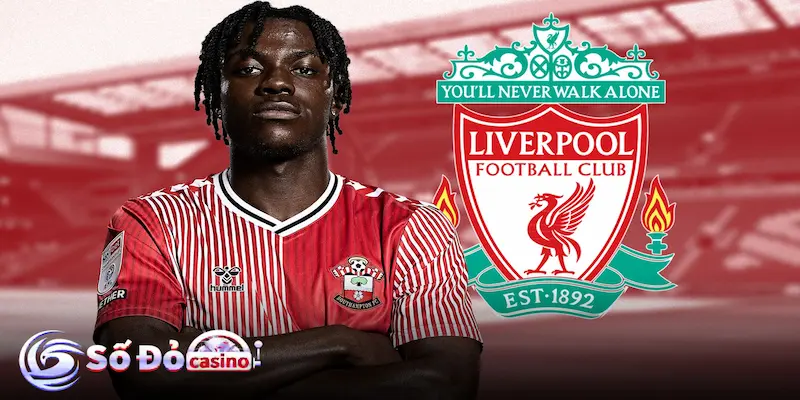 Tổng hợp các kinh nghiệm cá cược soi kèo Liverpool