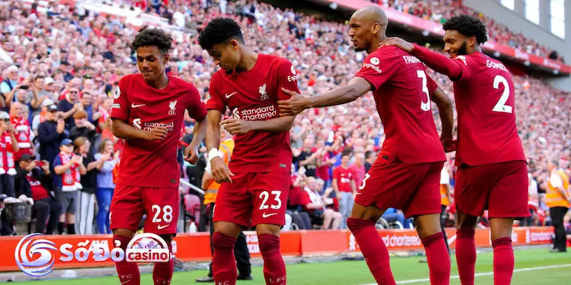 Cách thực hiện soi kèo Liverpool hiệu quả