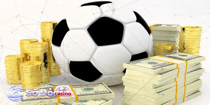 Những sai lầm cần tránh khi soi kèo VIP