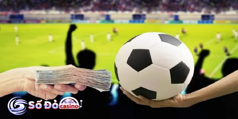 Các loại soi kèo VIP phổ biến trong cá cược bóng đá