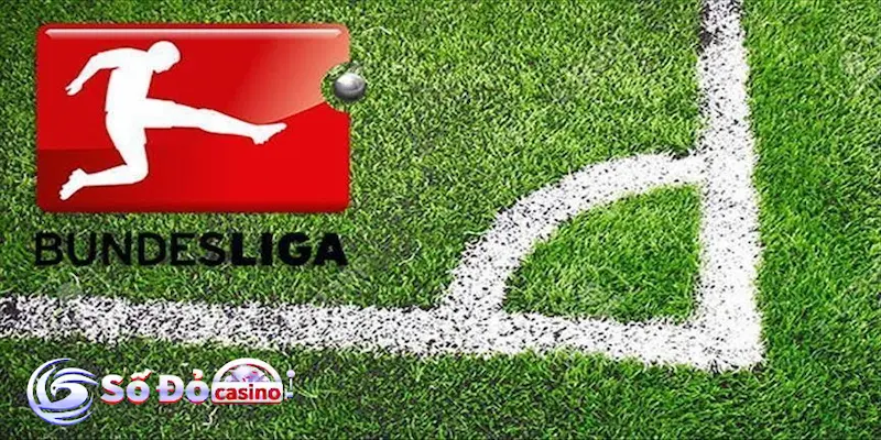 Trận đấu Bundesliga – Giải vô địch quốc gia Đức và sức hút đặc biệt