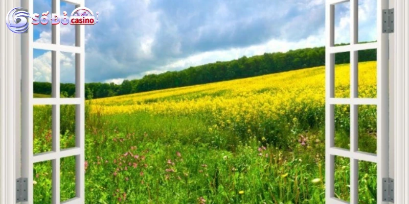 Những tình huống nên thử “vừa nhắm mắt vừa mở cửa sổ”